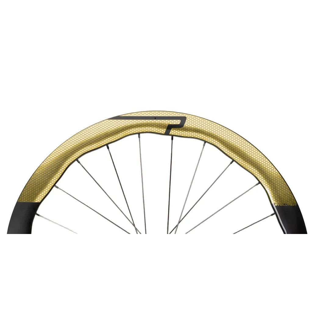 PEAK 4550 EVO Disc Brake, Gold decal, DT Swiss 240 EXP CL
