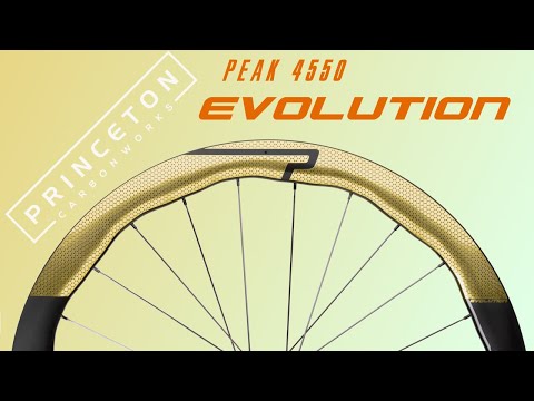PEAK 4550 EVO Disc Brake, Gold decal, DT Swiss 240 EXP CL